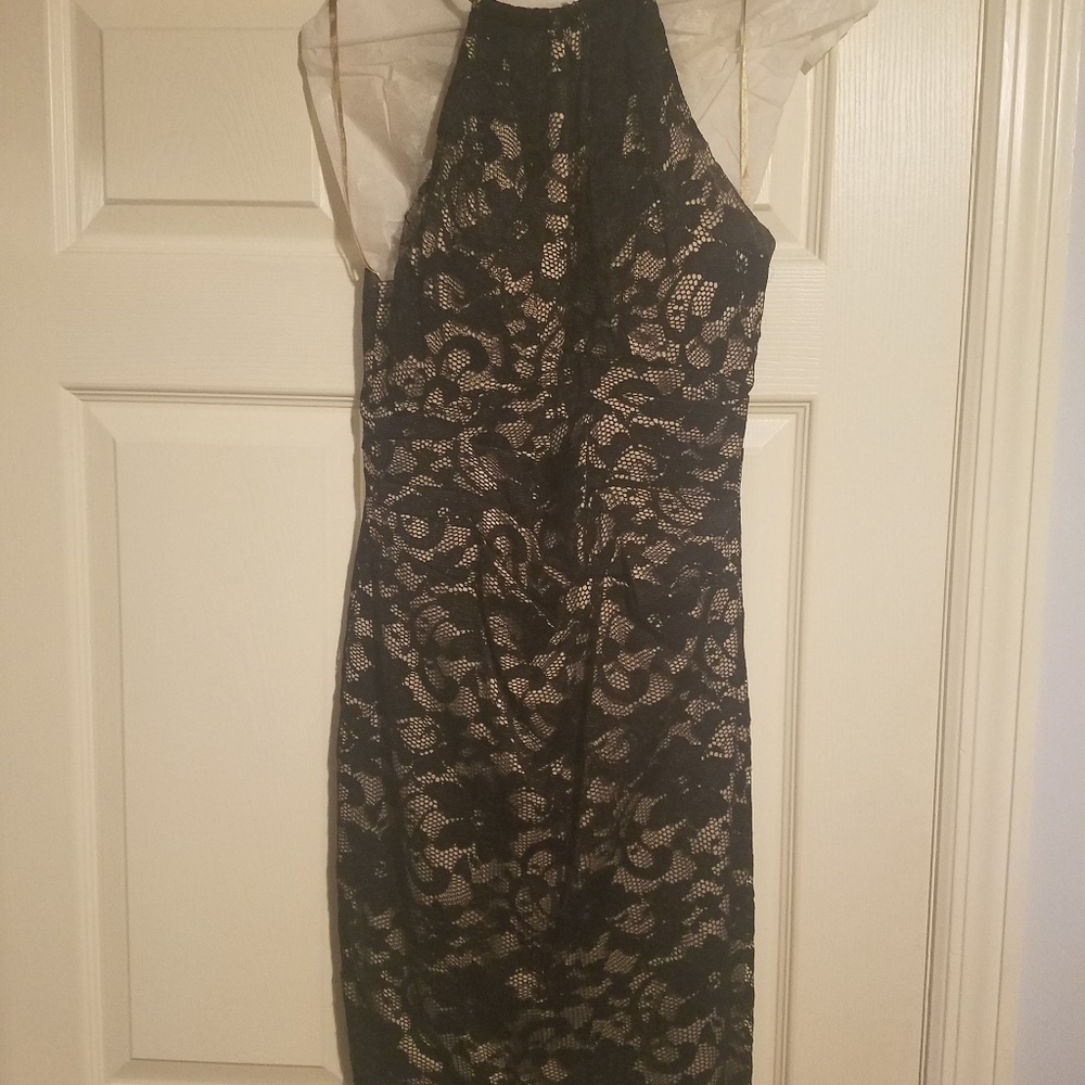 Eliza J Black Lace Dress
